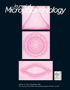JOURNAL OF MICROPALAEONTOLOGY杂志封面